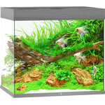 Juwel Juwel aquarium Lido 200 LED met filter grijs