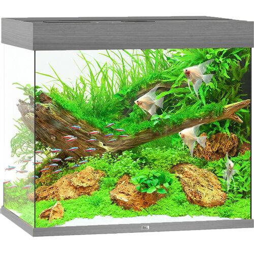 Juwel Juwel aquarium Lido 200 LED met filter grijs