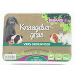 Esve Knaagdiergras 120 gr.