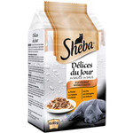 Sheba Sheba Delice du Jour Gevogelte 6x50 gr.