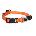 Rogz Beltz Alpinist Halsband S Oranje 1 st. Small