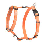 Rogz Beltz Fancy Dress Tuig M Orange Doodle-Orange 1 st. Medium