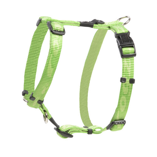 Rogz Beltz Alpinist Tuig M Lime 1 st. Medium