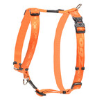 Rogz Beltz Alpinist Tuig L Oranje 1 st. Large