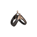 Rogz Beltz Urban Fast Fit Tuig S Gold Rush 1 st. Small