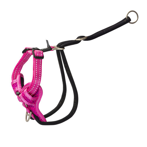 Rogz Beltz Utility Stop Pull Tuig M Roze 1 st. Medium