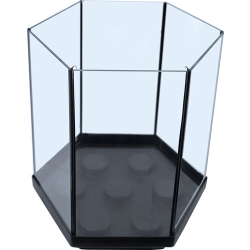 Boon aquarium Hexagon met zwarte kit, 29x30 cm.