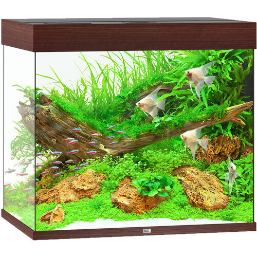 Juwel Juwel aquarium Lido 200 LED met filter, donkerbruin.