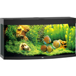 Juwel Juwel aquarium Vision 260 LED met filter, zwart.