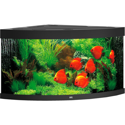 Juwel Juwel aquarium Trigon 350 LED met filter, zwart.