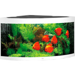 Juwel Juwel aquarium Trigon 350 LED met filter, wit.