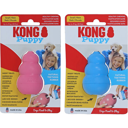 Kong Kong hond Puppy, small.