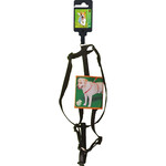 Boon Boon Dog fashion BH-tuig nylon 10 mm x H35-B45 cm, zwart.