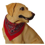 Boon Dog fashion Boon Dog fashion halsband met zakdoek 40 cm, rood.