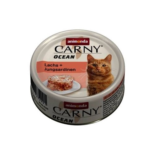 Carny Carny Ocean Zalm/Sardines 80 gr.