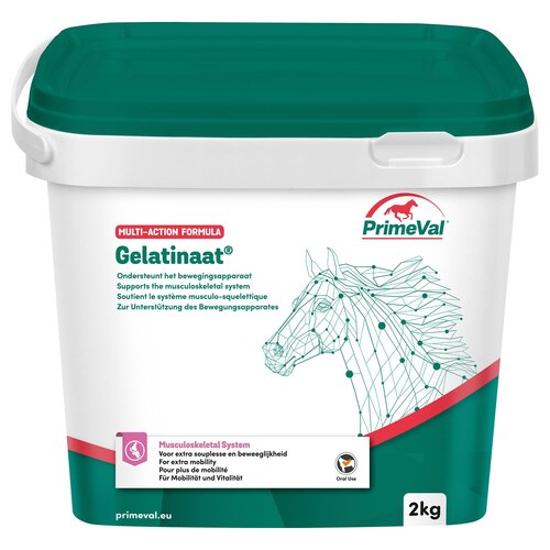 Primeval Primeval Paard Gelatinaat 2 kg.