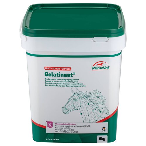 Primeval Primeval Paard Gelatinaat 5 kg.