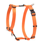 Rogz Beltz Utility Tuig L Oranje 1 st. Large