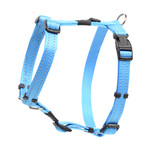 Rogz Beltz Utility Tuig M Turquoise 1 st. Medium