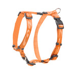 Rogz Beltz Alpinist Tuig S Oranje 1 st. Small