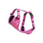 Rogz Beltz Fashion Tuig M Wild Hearts 1 st. Medium