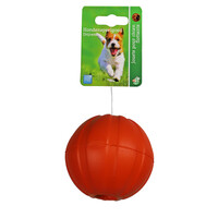 BOON HOND SPEELG. Boon apporteerbal EVA drijvend + gat oranje 9cm