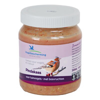 Vogelbescherming Vogelbescherming pindakaas vogel met bosvruchten 330 gram