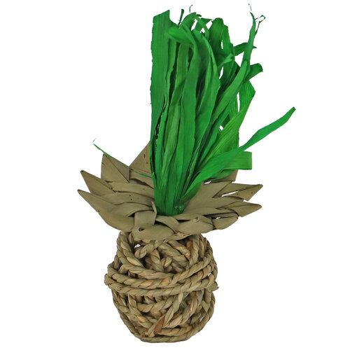 Boon Boon knaag ananas zeegras 20cm