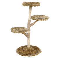 BOONY EST1941 Boony est 1941 klimboom fagus 129cm grizzly brown