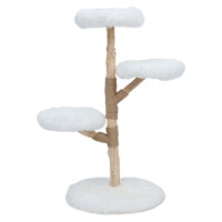 BOONY EST1941 Boony est 1941 klimboom fagus 129cm polar white