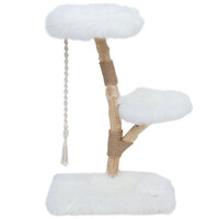 BOONY EST1941 Boony est 1941 klimboom prunus 85cm polar white