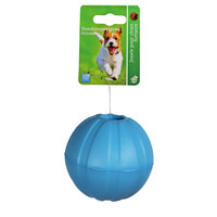 BOON HOND SPEELG. Boon apporteerbal EVA drijvend + gat blauw 9cm