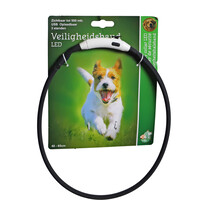 Boon Boon veiligheidshalsband LED 50-65cm verstelbaar zwart