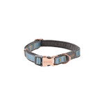 Rogz Beltz Urban Halsband S Turquoise Moon 1 st. Small