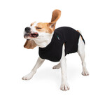 Suitical Happy Recovery Recovery Suit Zwart Small+ 1 st. Small +