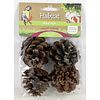 Esve Mix & Play Pine Cones Small 4 st.