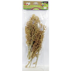 Esve Mix & Play Corn Grass 1 st.