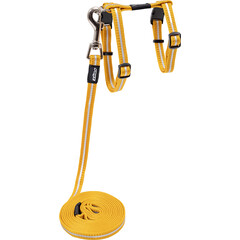 Rogz Beltz Catz AlleyCat Tuig+Lijn S Goud 1 st. Small