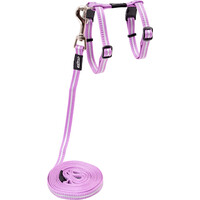 Rogz Beltz Catz AlleyCat Tuig+Lijn S Lila 1 st. Small