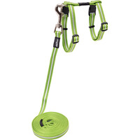 Rogz Beltz Catz AlleyCat Tuig+Lijn S Lime 1 st. Small