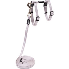 Rogz Beltz Catz AlleyCat Tuig+Lijn S Zilver 1 st. Small