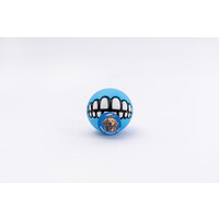 Rogz Yotz Toyz Grinz Squeaky Bal Box M Turq 1 st. Medium