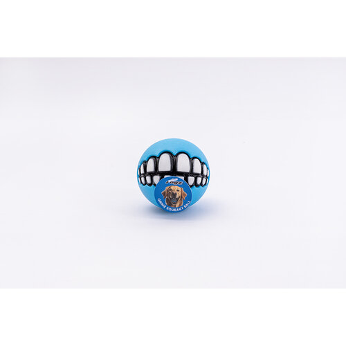 Rogz Yotz Toyz Grinz Squeaky Bal Box M Turq 1 st. Medium