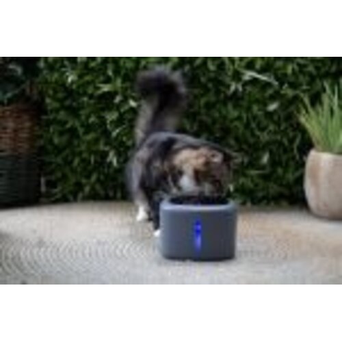 Boon Boon drinkfontein aquabella anthracite 2,5 liter