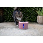 boon Boon drinkfontein aquabella pink 2,5 liter