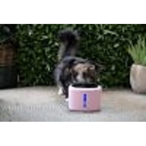 boon Boon drinkfontein aquabella pink 2,5 liter