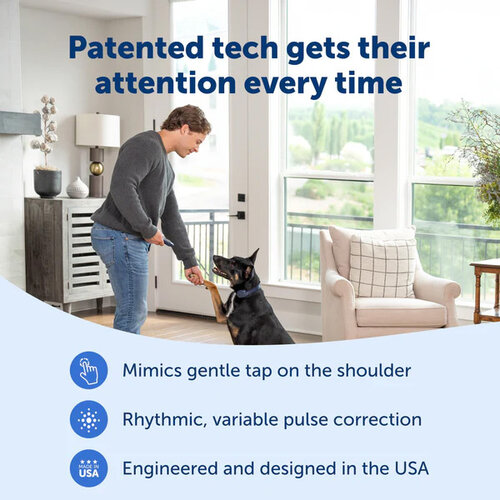 PetSafe Petsafe trainer digitaal 90 meter pdt10-18035