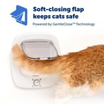 Staywell Petsafe kattendeur big cat flap wit
