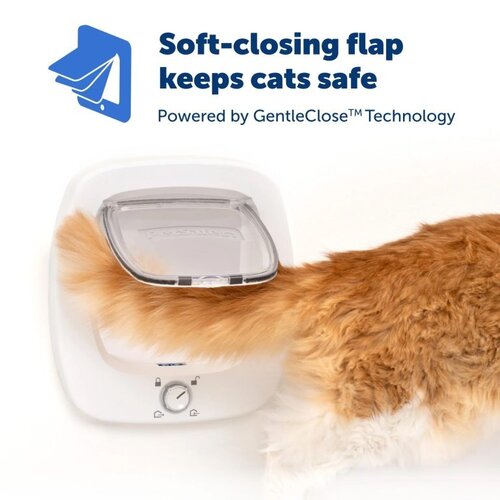 Staywell Petsafe kattendeur big cat flap wit