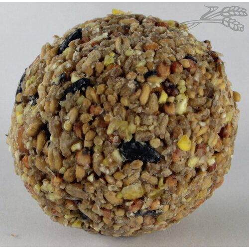 Tijssen goed voor dieren Tijssen Mezenbollen Los Comfort 90 gr. Zonder Net